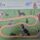 멍멍아 까꿍 이미지