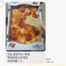 박종진 농장 | 유명 백도 (딱딱백도)/천도는 품절♡