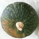 탑산골농장 이미지