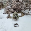 산책길(반려동물 미용실) 이미지