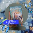 타로카드이야기 | 인터타로 골든 휠 타로카드 사용 후기