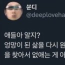 세상을쓰다 이미지