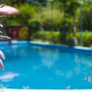 그림앤정원 이미지