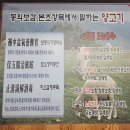 연길백옥양꼬치 | 구월동양꼬치 백옥양꼬치 구월 7호점 구월동양갈비