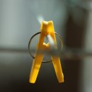 꽃공인중개사사무소 이미지