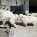 두환농장 이미지