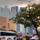 동백초등학교 앞 교차로 이미지