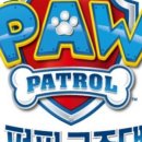 퍼피퍼피 이미지