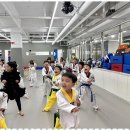 센트럴 태권도 | 각화동태권도 안심하고 맡길 수 있는 세정태권도 후기