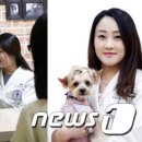 김수의과동물병원 이미지