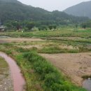 대황강 출렁다리 이미지