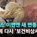 '엠폭스' 이번엔 새 변종 출현…전 세계 다시 '보건비상사태' 이미지