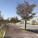 이슬공원 이미지