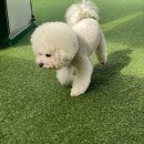 멍품유치원 이미지