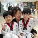 태백태권도 이미지