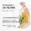 웨딩올인결혼