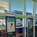 타이어프로 제주점 | 프로 제주도 여행러가 추천하는 제주 여행 정보(제주공항 렌트카, 세미식당, 제원칼집)