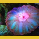 재활나라 이미지