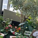 한밭농장 | 대전 한밭수목원 곤충생태관 열대식물원 주차 겨울 데이트