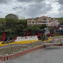[세종] 베어트리 파크 동물원 불곰 보고 온 후기