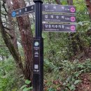 치악산둘레길 11코스 한가터길 이미지