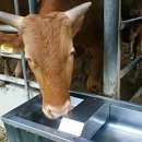 이종범농장 이미지