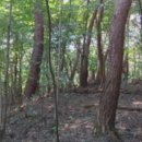 상정리마을회관 이미지