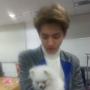 개떼월드 이미지