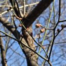 (주)국제스쿨 (경기) | 교육 인사이트_경기도교육청 국제교육원, 청솔랭귀지스쿨 합격 (영어 레벨 테스트 및 글로벌 프로그램)