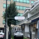 케이독 ST 이미지