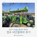 비단 | 짧아서 아쉽고 춥지만 행복한 경주 비단벌레차 후기 예약 코스 요금