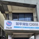 블루웨일 | 제주도 블루웨일 다이브 호핑투어 스노클링 체험 내돈내산 후기
