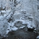 다운펜션 이미지