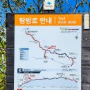 250518 설악산 털진달래 산행(귀때기청봉-대승령-남교리) 2편