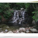 수입천계곡펜션 이미지