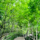 써니캐슬 이미지