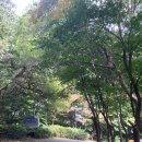 배영농장 이미지