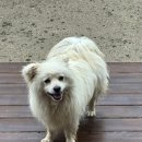 달팽이하우스 이미지