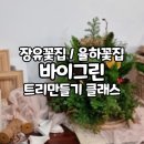바이그린(by.green)