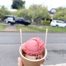 시닉베이