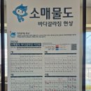 매물도야영장 | 매물도 가는법 배편 야영장 시간 거제 수영 스노쿨링 솔직후기~!