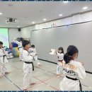 베스트 태권도장 이미지