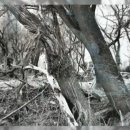 [미술여행 TV영상] 원연수 흑백사진 展...자연이 잘 다듬어 놓은 fantasy의 결정판 이미지