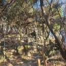 미륵산둘레길 | 미륵산 과학고 코스 정상 정복 후기(계단지옥코스)