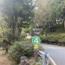 방장산 자연휴양림 9인실 청운동 후기!