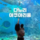 석문수퍼 | 단양 다누리아쿠아리움 할인 꿀팁 아이랑 실내 가볼만한곳 추천