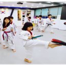 대나무태권도장 이미지