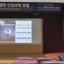 매그놀리아신경과학연구회 네이버블로그