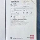 새섬오징어 | 제주 스노클링 포인트 100% 만족한 가성비 호핑투어