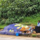 난전농장 이미지